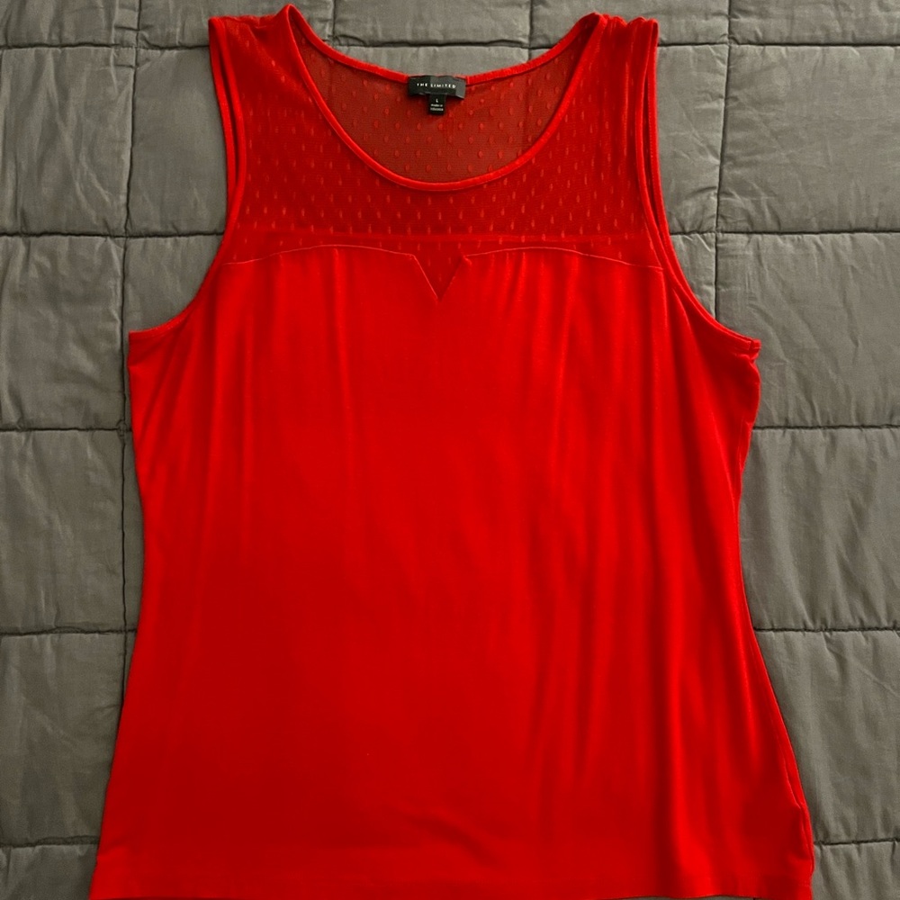 Sheer Mesh Top Sweetheart Tank from The Limited